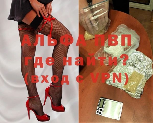 прущие грибы Вязники