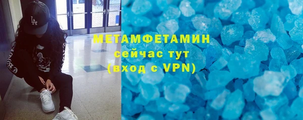 прущие грибы Вязники