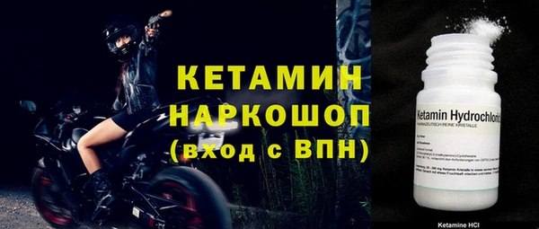 амф Горняк