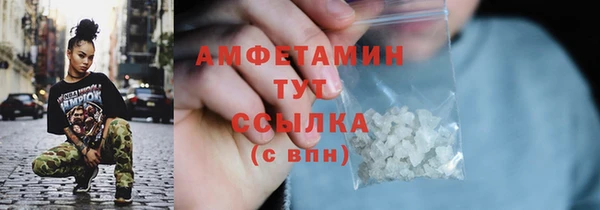 прущие грибы Вязники