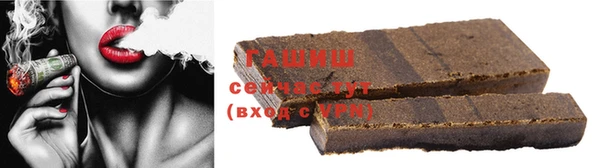 прущие грибы Вязники