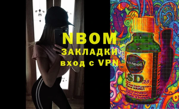 прущие грибы Вязники