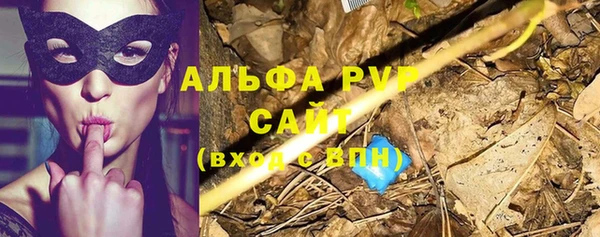 прущие грибы Вязники