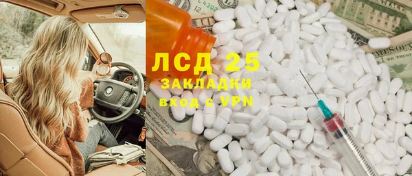 прущие грибы Вязники