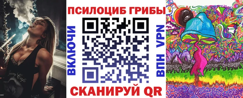 мега как зайти  Курган  Псилоцибиновые грибы Cubensis  где купить наркоту 